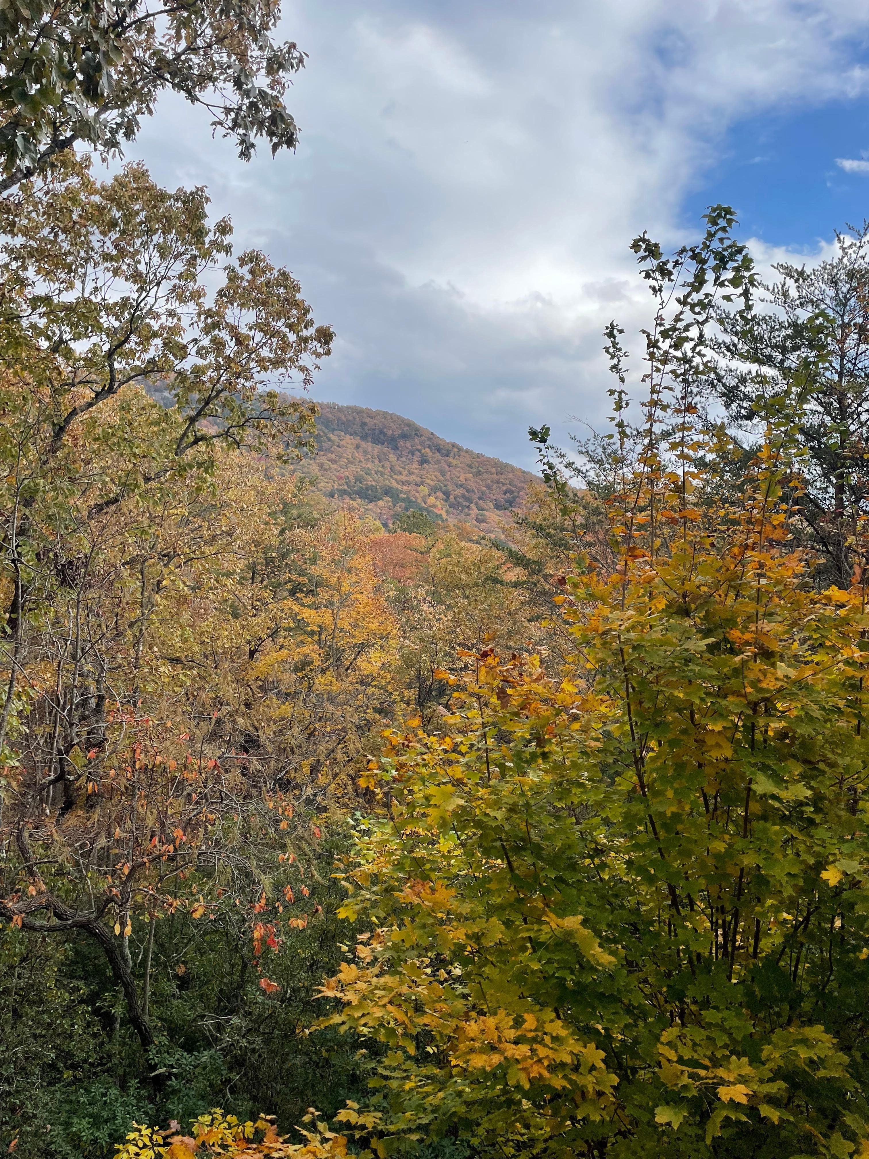 View from cabin porch