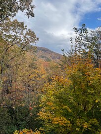 View from cabin porch