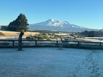 Photo taken from the deck. This is the view on the property