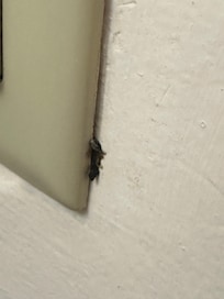 Pretty sure this was a bloody booger