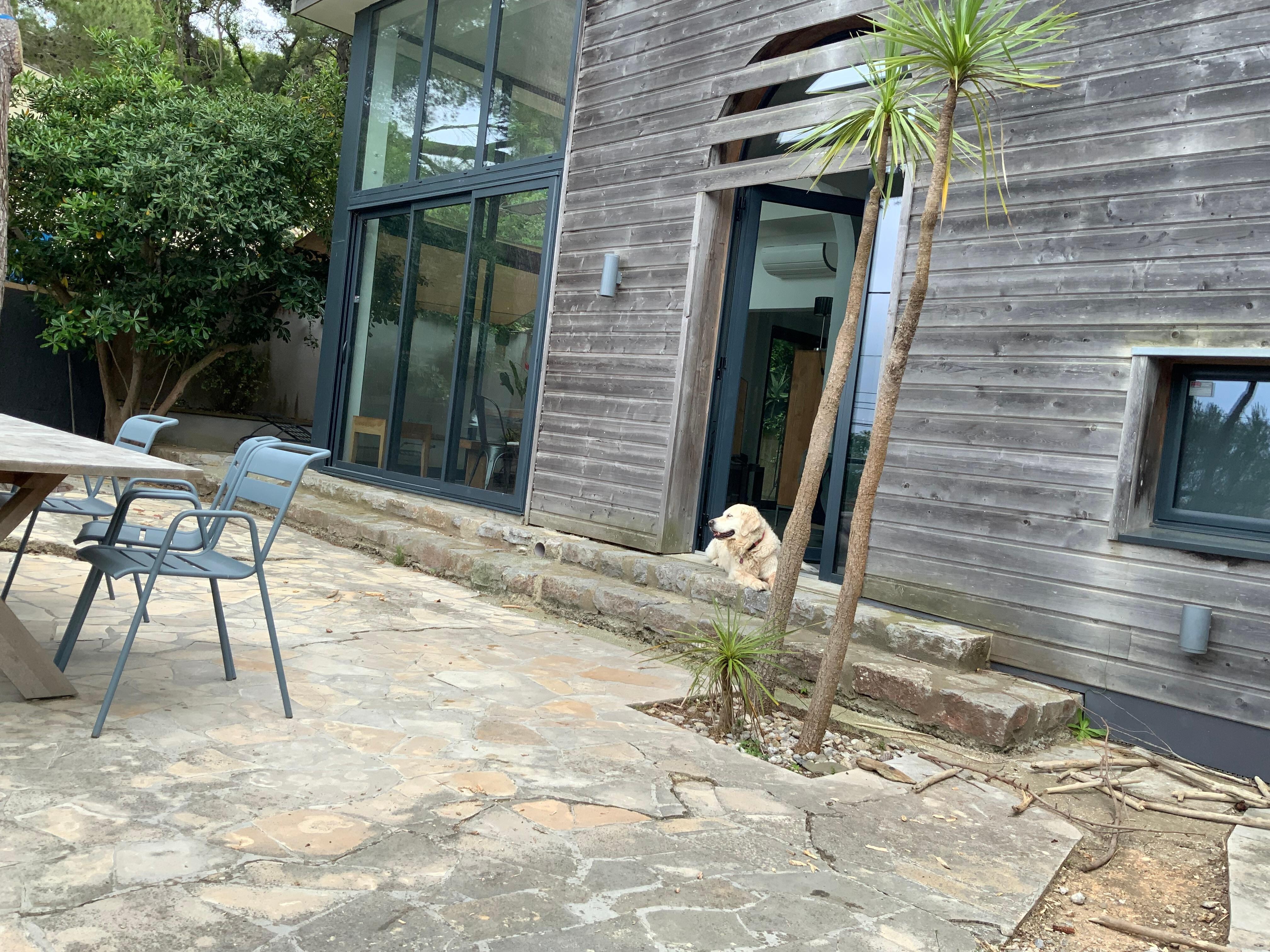 Löwe bewacht das Haus