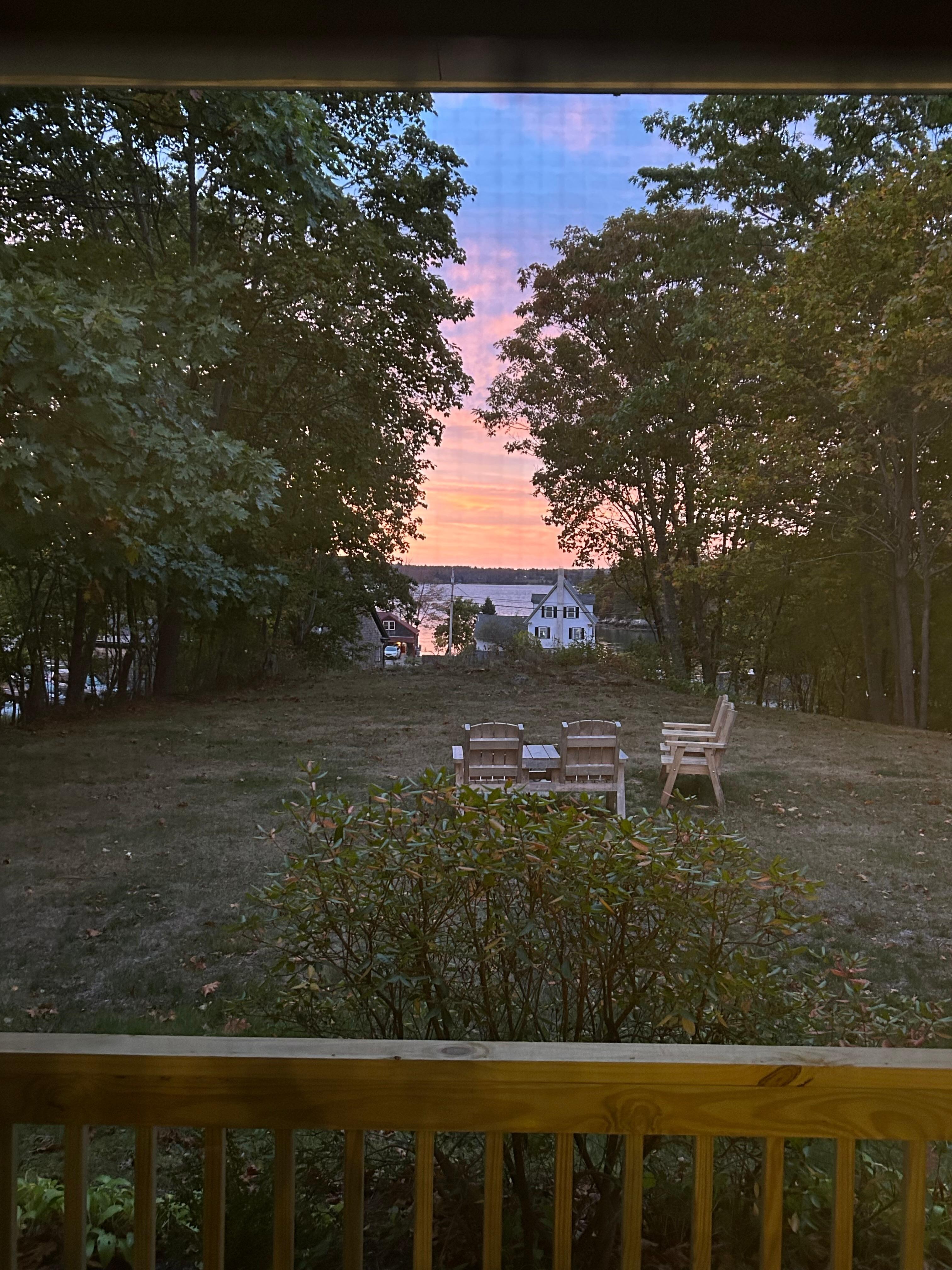 View from the dining room table 