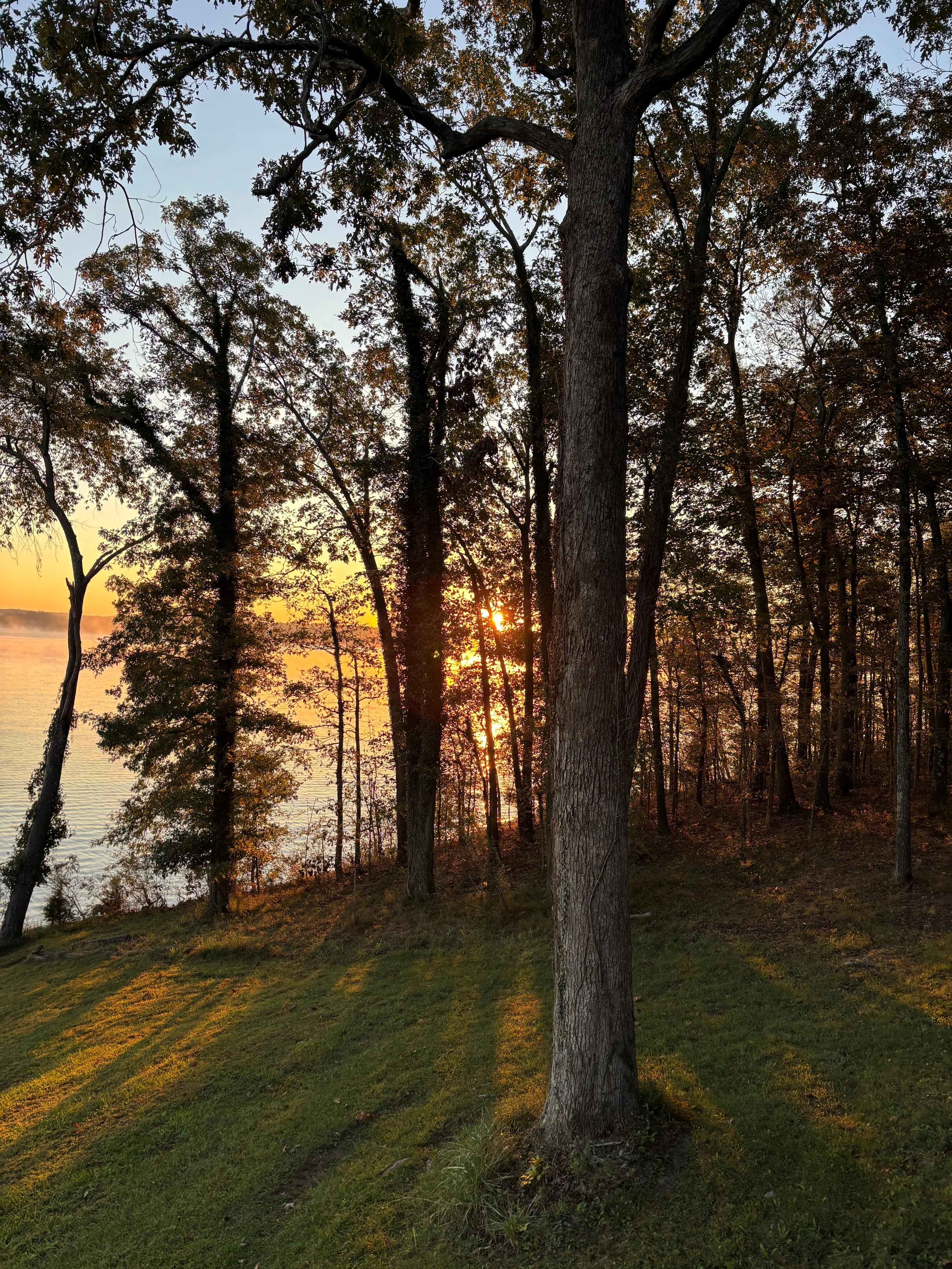 Sunrise pic through the trees
