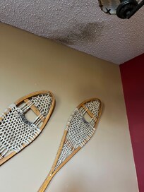 Spot beneath upstairs bathroom.