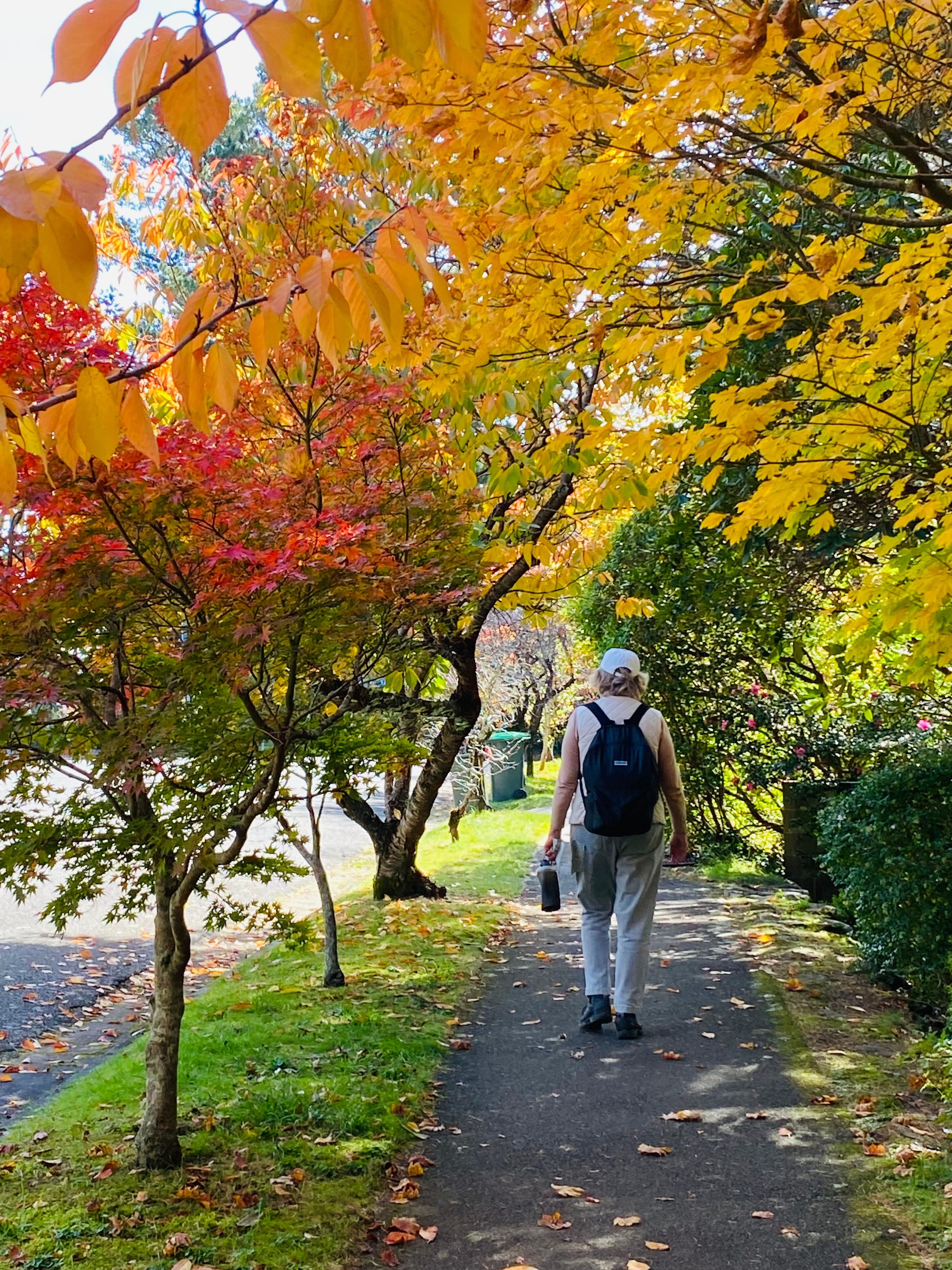 Autumn is a beautiful time to visit with stunning colours.