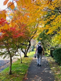Autumn is a beautiful time to visit with stunning colours.