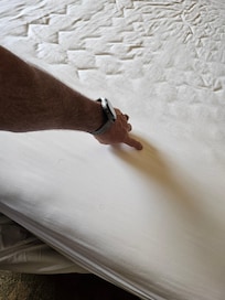 Zoom In - plenty to see