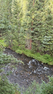 View from the deck
