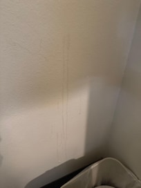 It had looked like something had been spilled on the wall and never cleaned up.