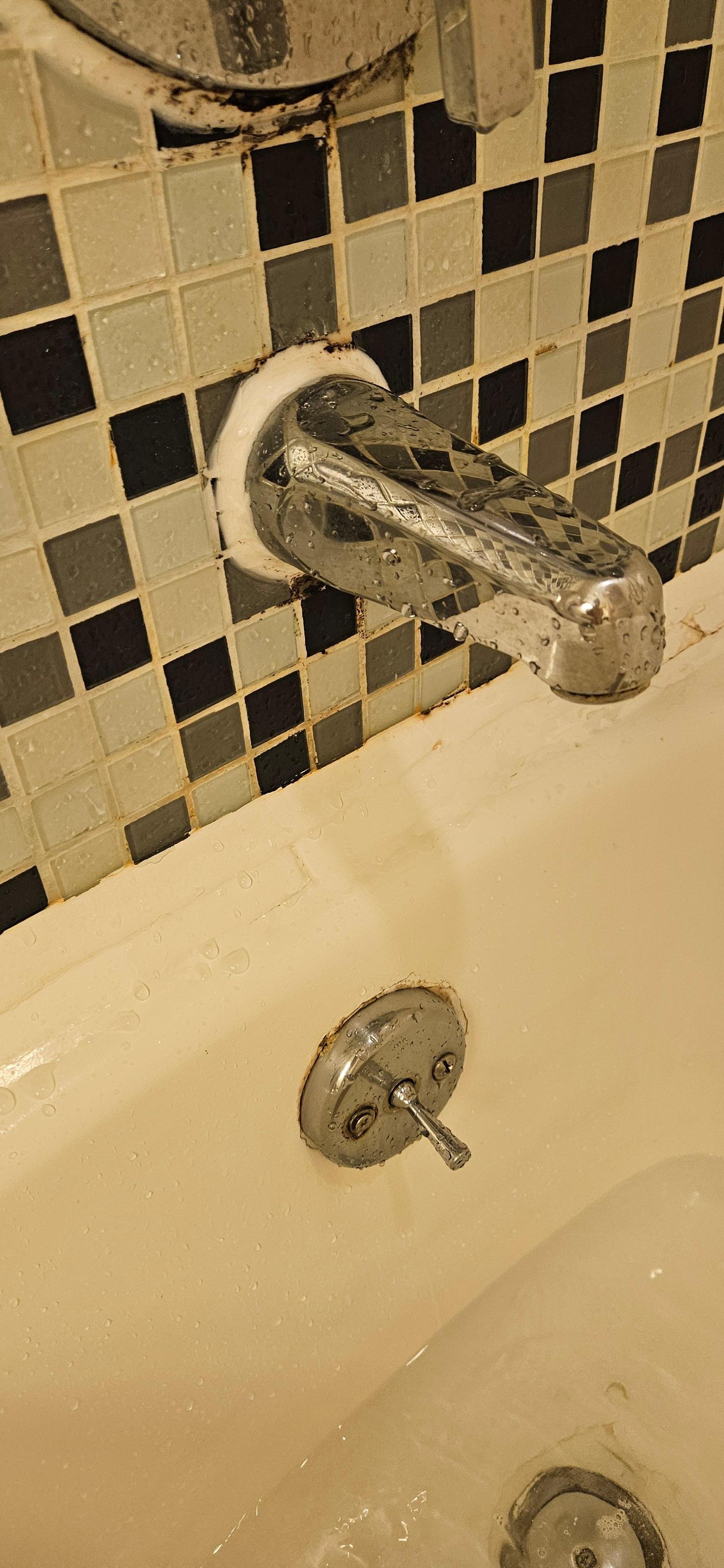 Rust and soap scum everywhere 