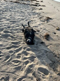 Waylon having the best time