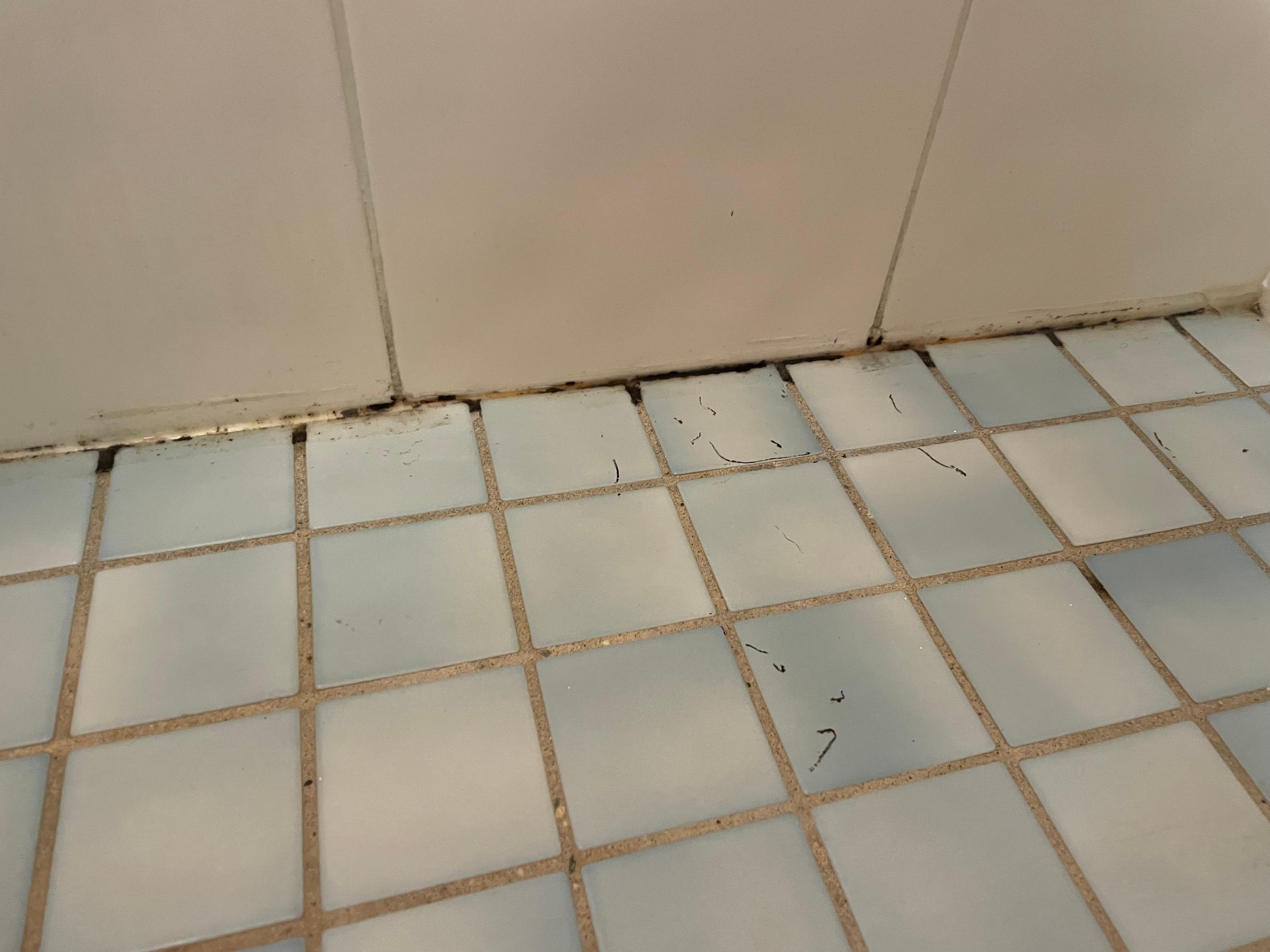 Mould in bathroom