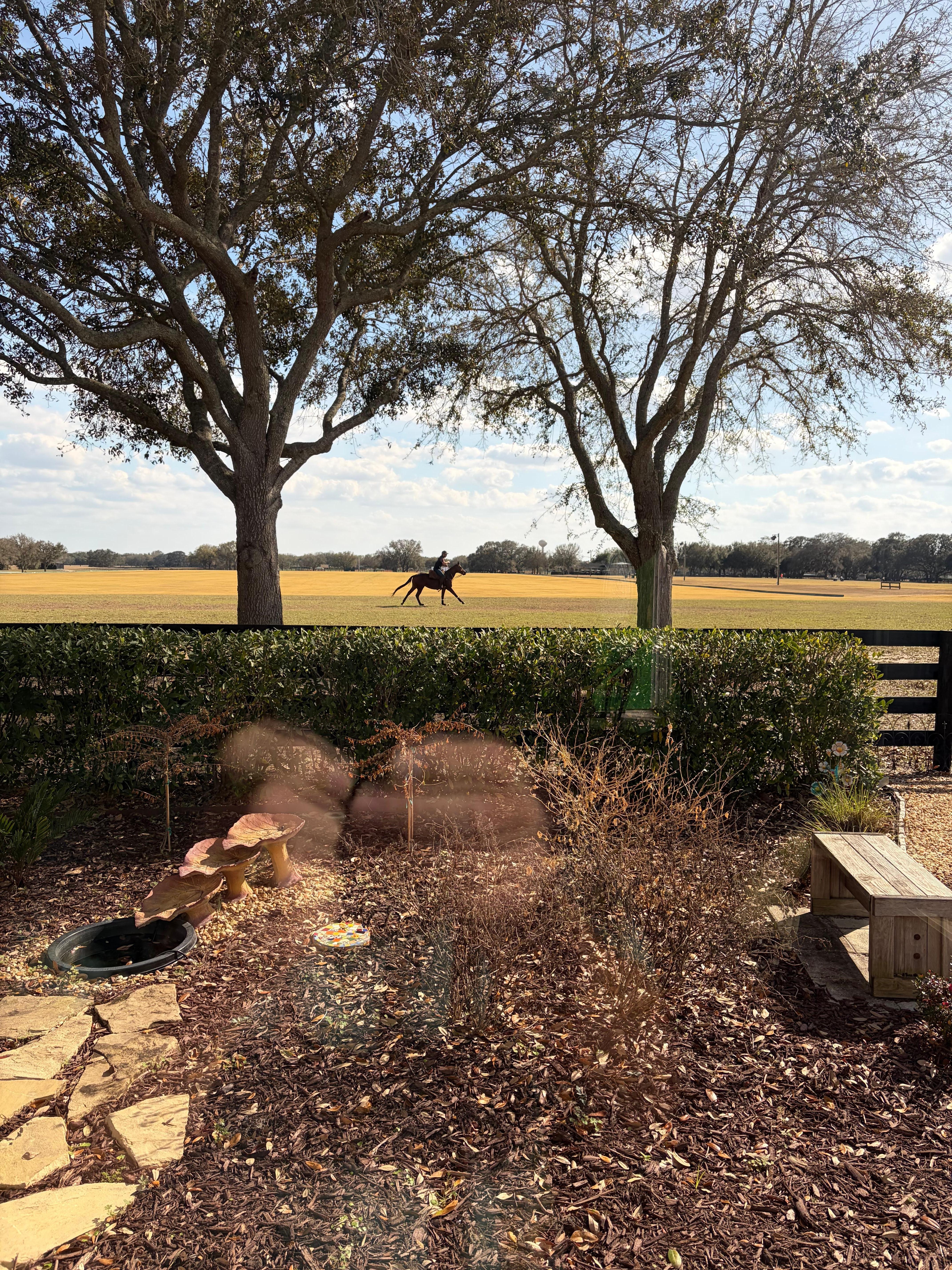 View of polo field from window.