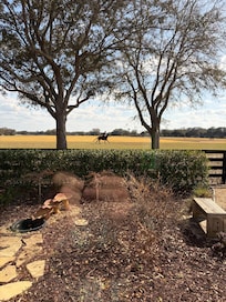 View of polo field from window.