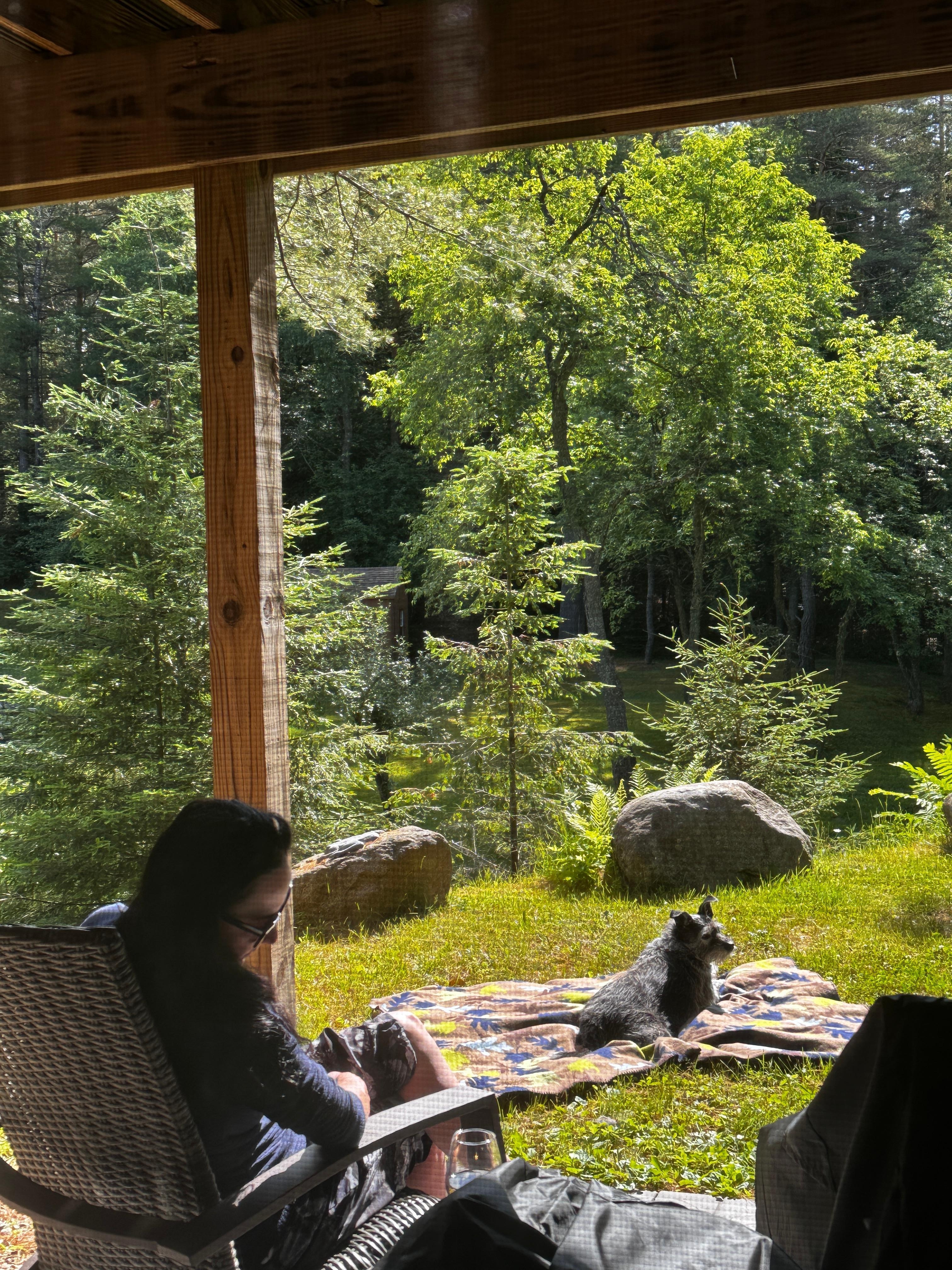 Can't think of a better way to start the day! Amazing sun lit view with the peaceful sounds of the stream and birdsong as we plot our adventures over coffee on the patio.