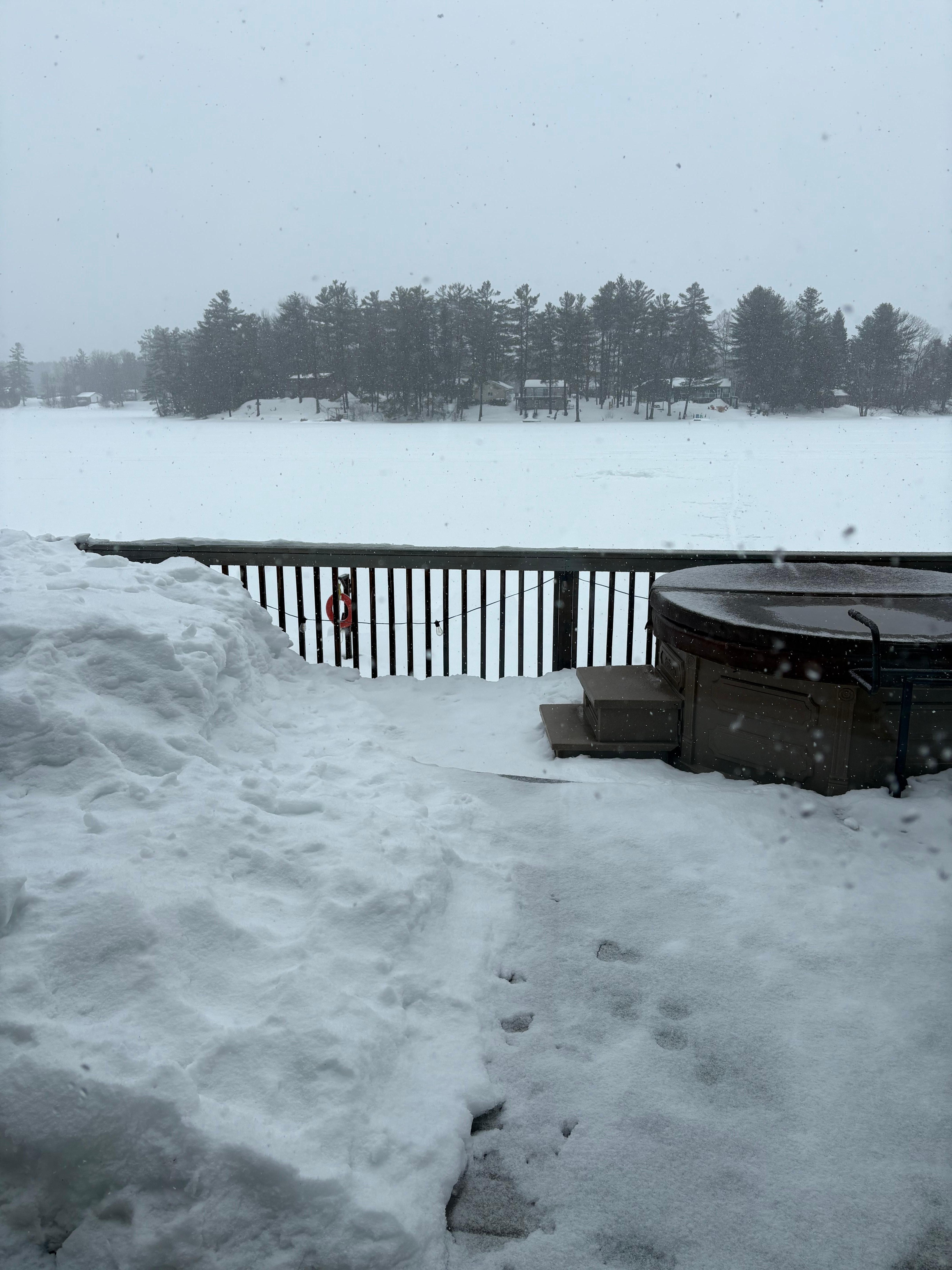 View from the cottage. 