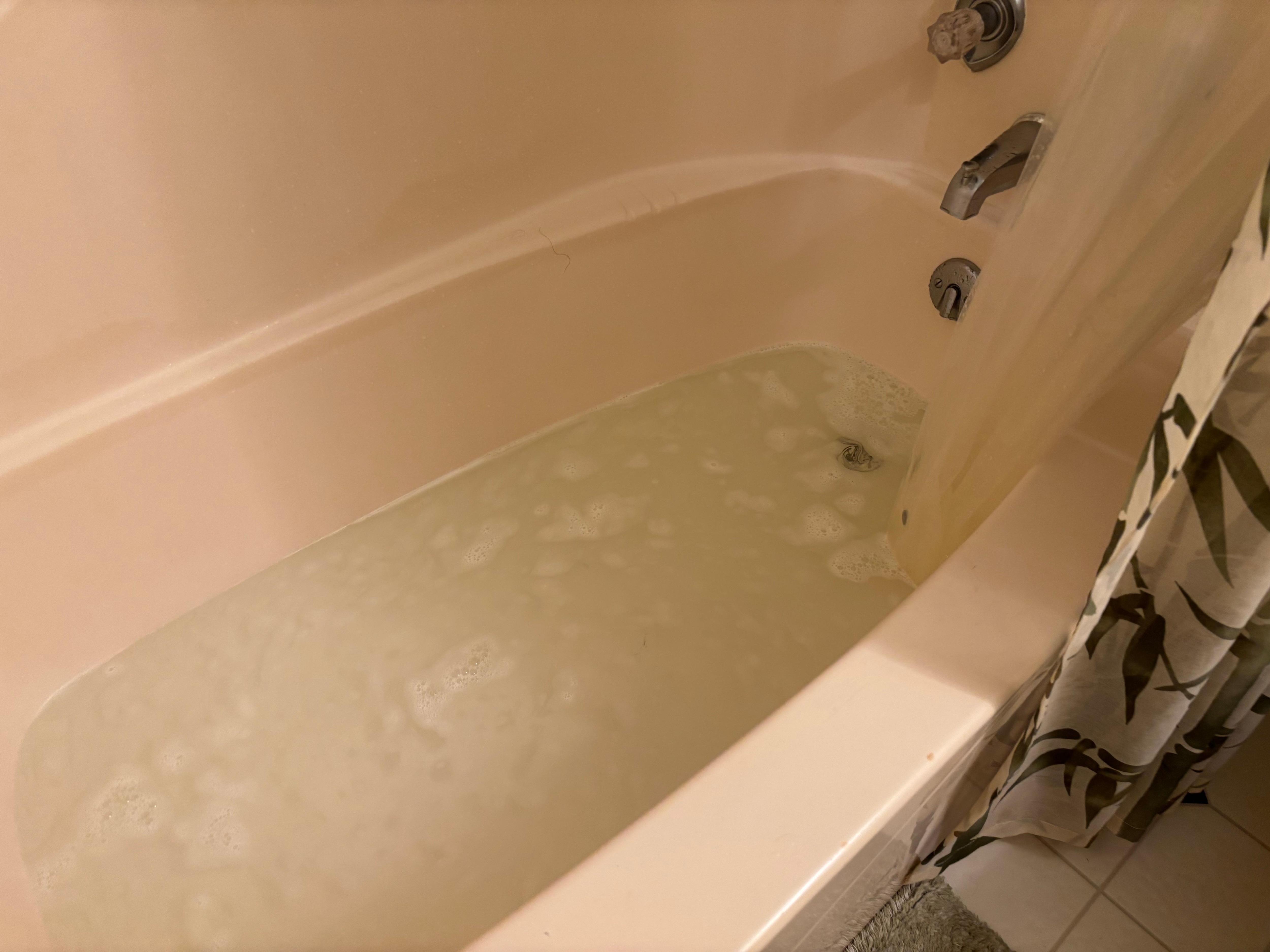 Bathtub would not drain