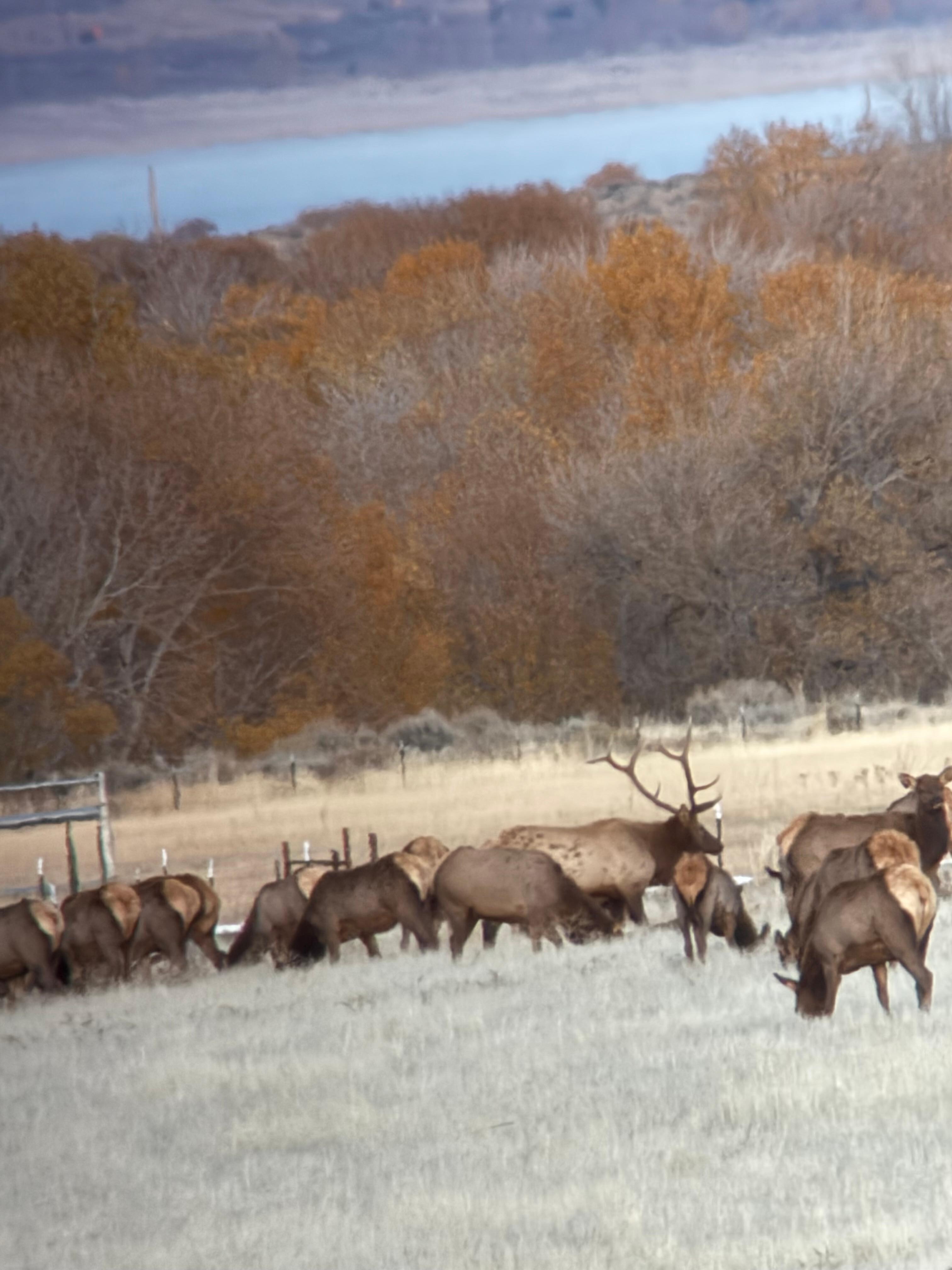 Just down the road from the house