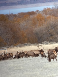 Just down the road from the house