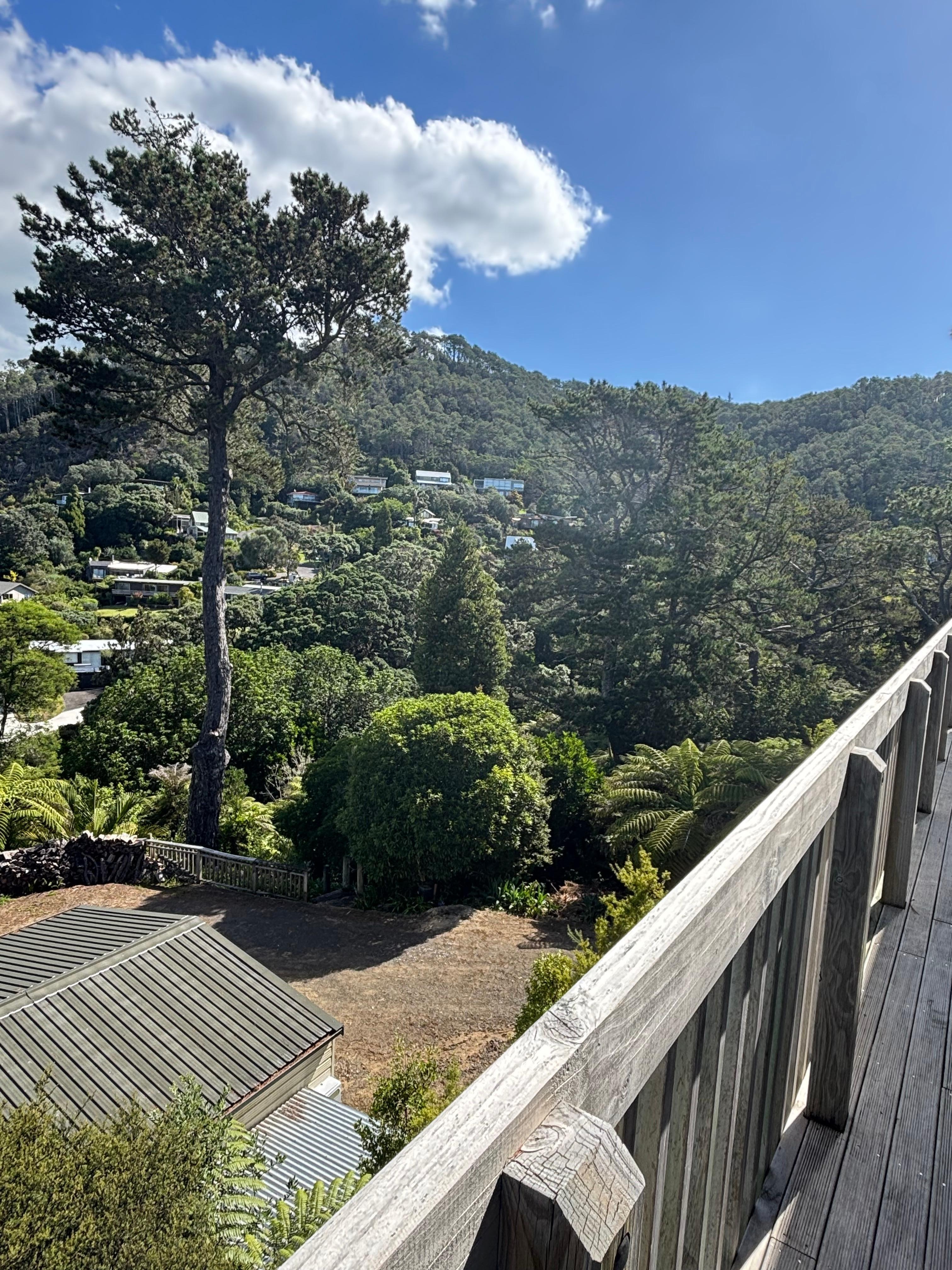 View from the Treehouse 