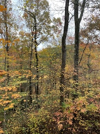 View from living area.