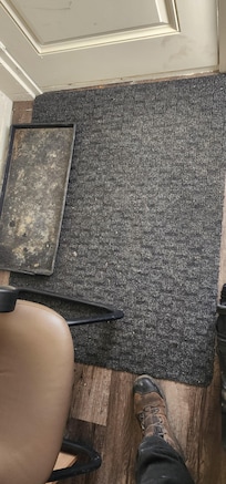 Floor mat and boot tray