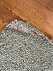 Ripped area rug in LR