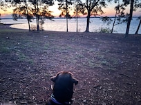 Lake Hartwell sunrise