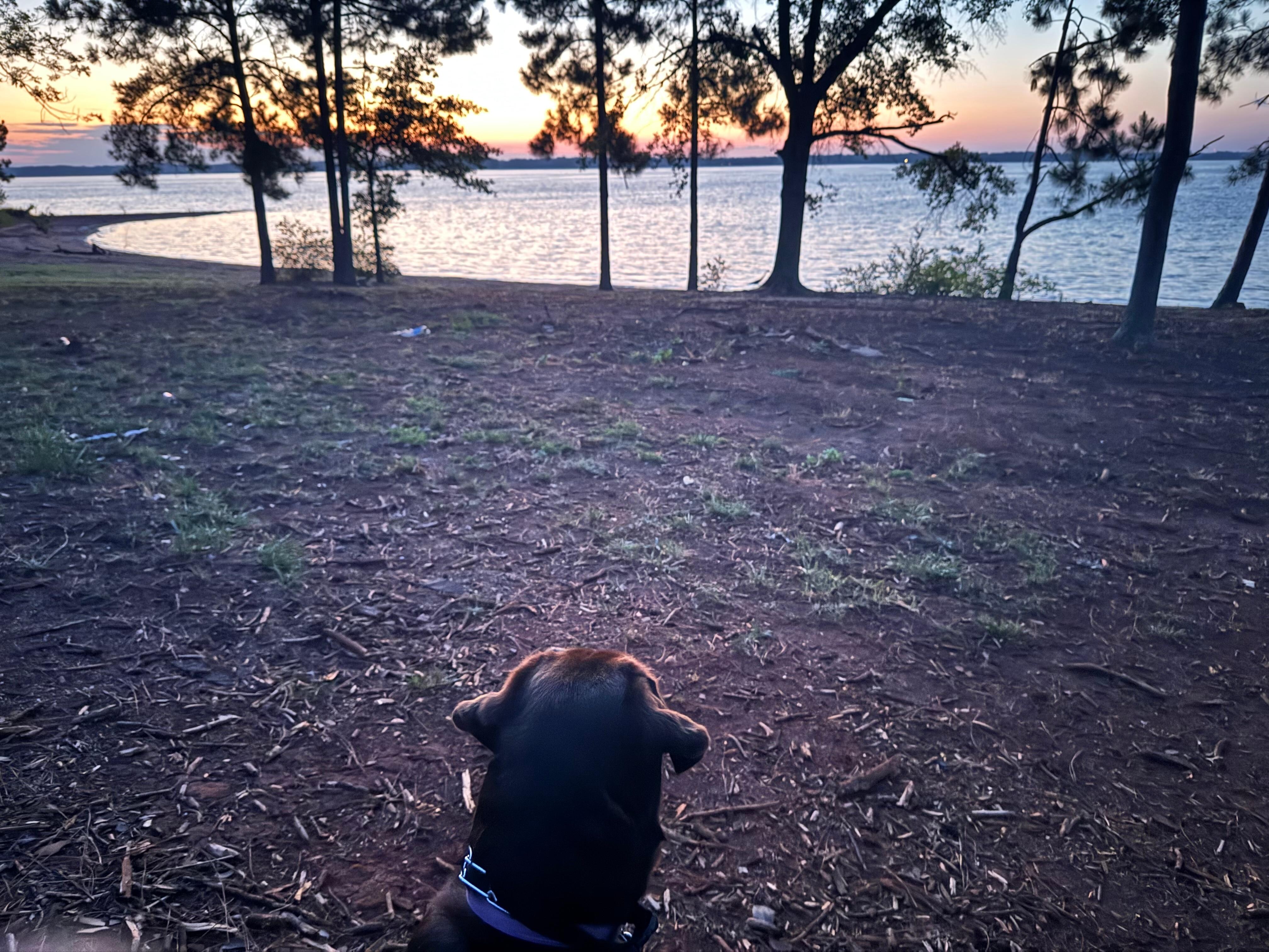Lake Hartwell sunrise