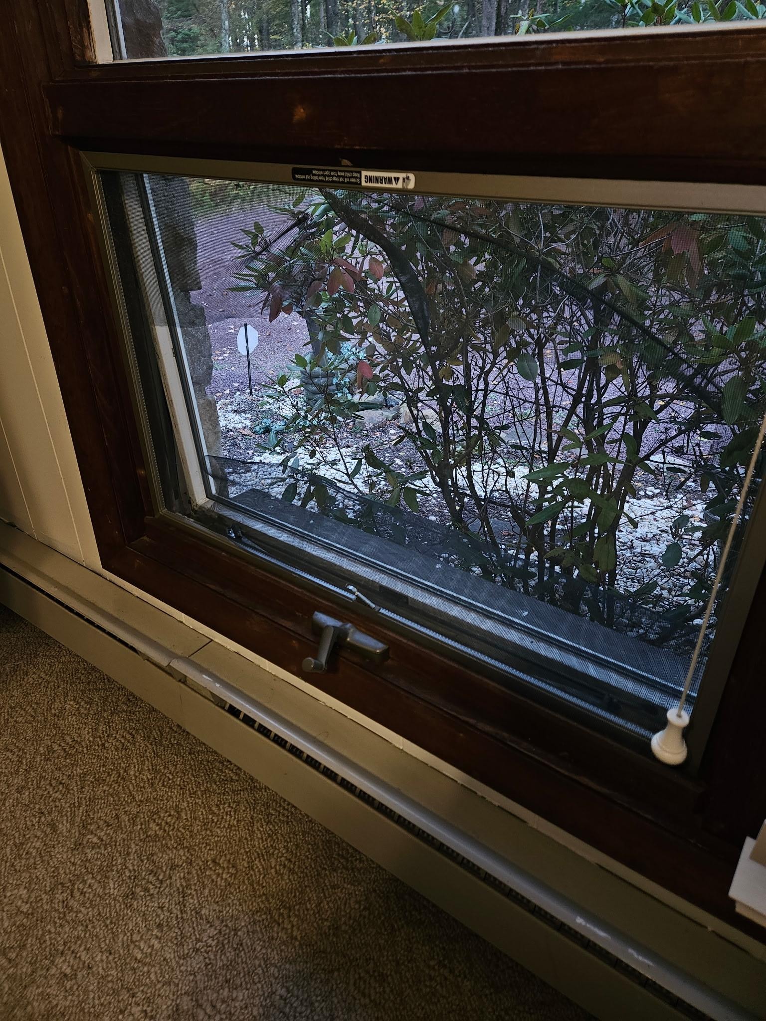 Broken window screens 