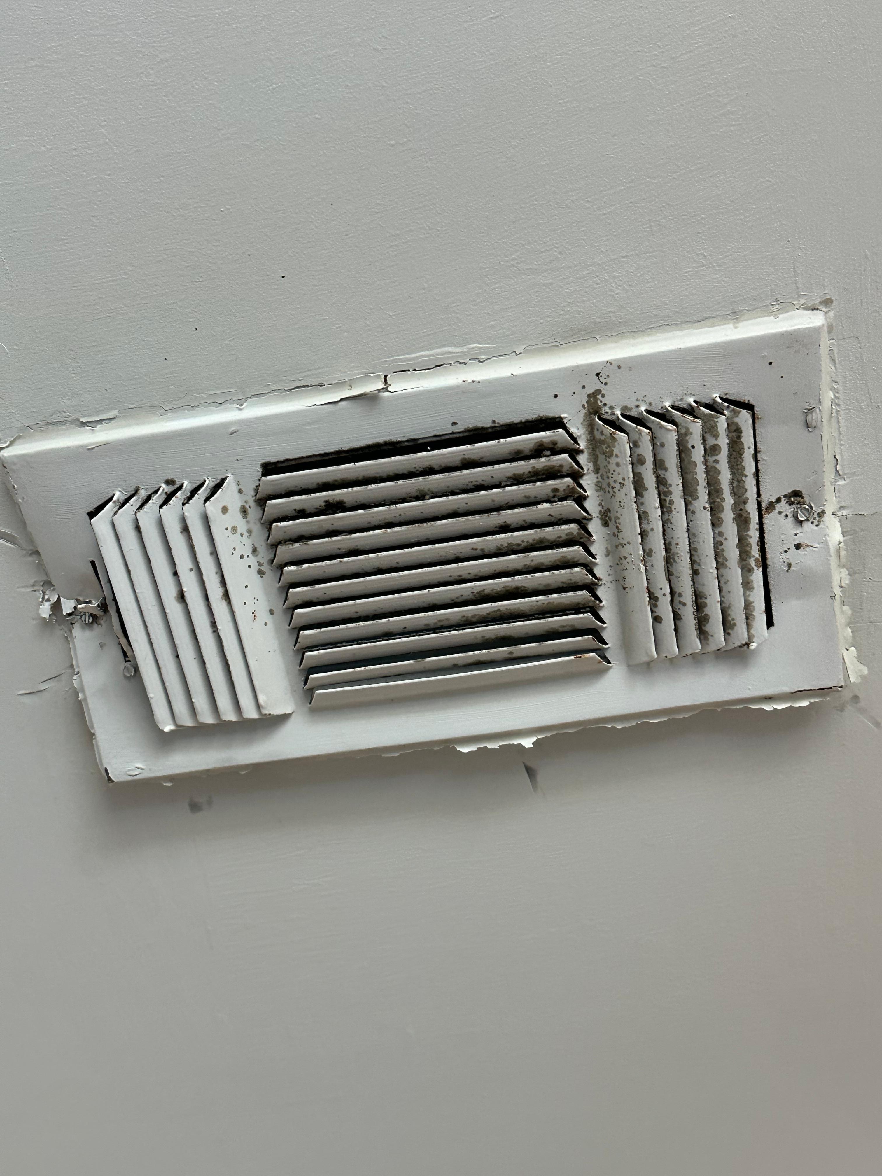 Dirty and not secured vent
