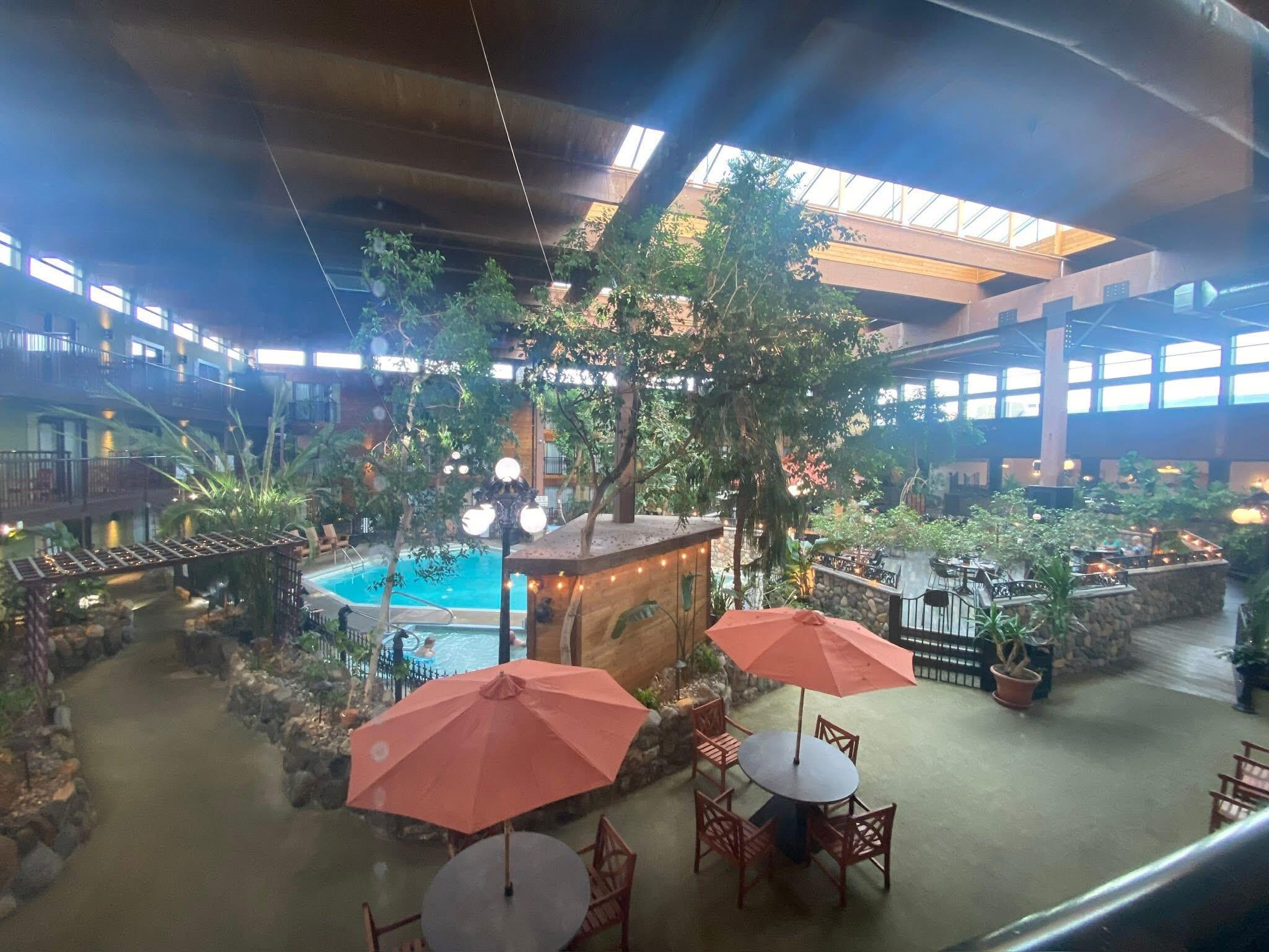 Pool and bar areas 