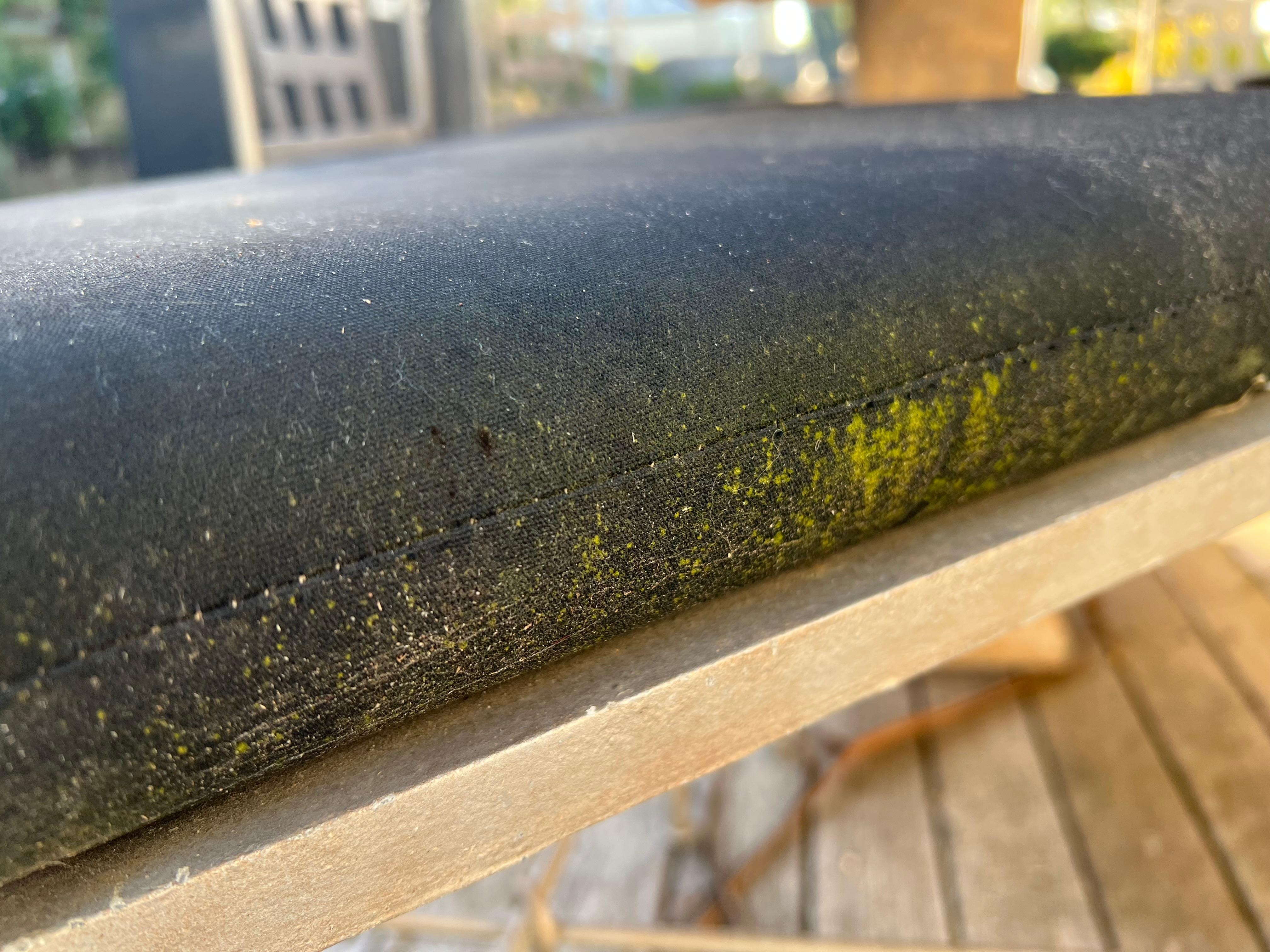 Mouldy outdoor furniture cushions 