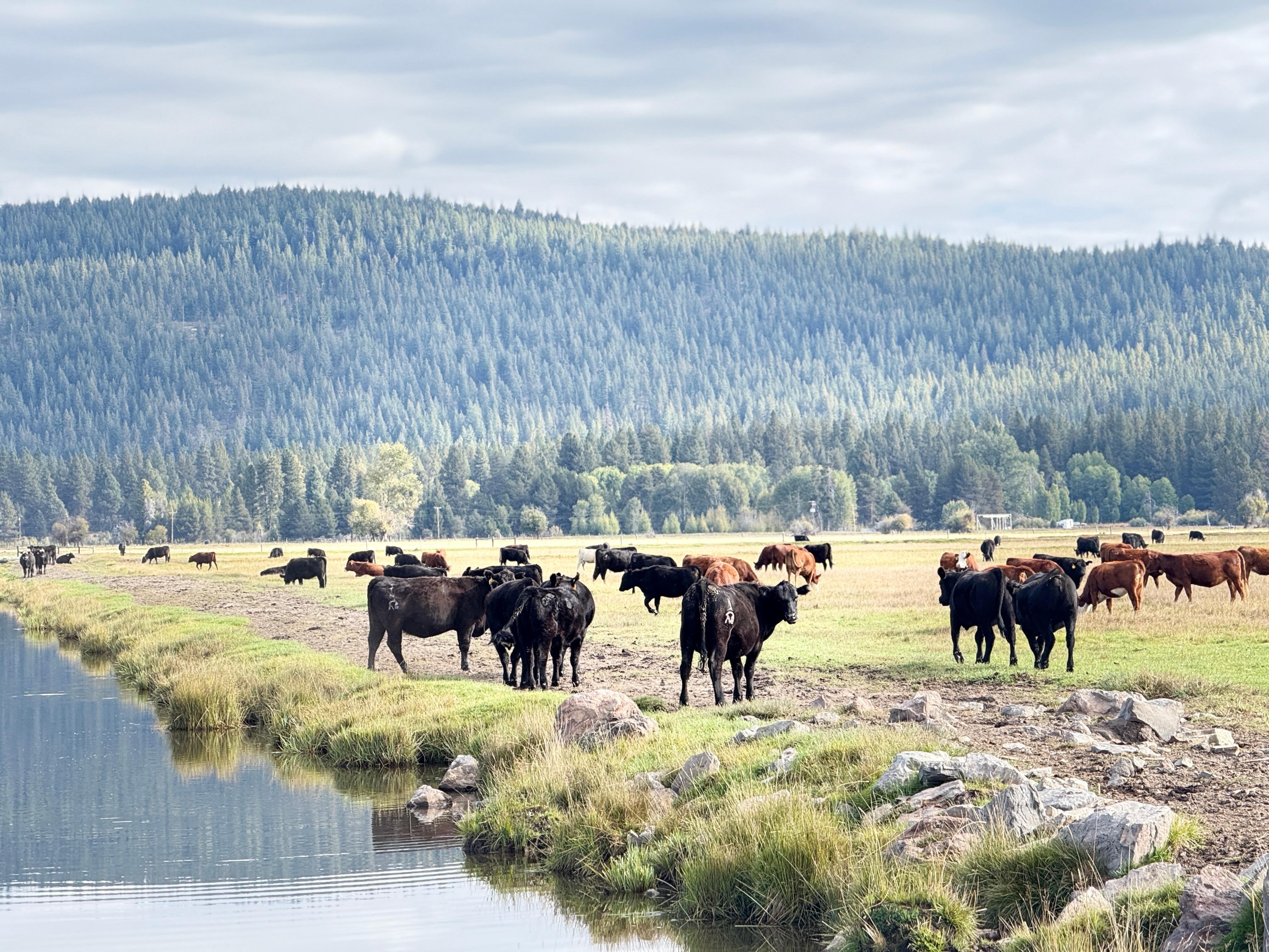 We already miss the area… SPACIOUS! 