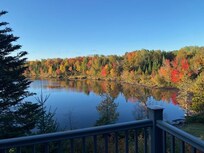 Morning on back deck.