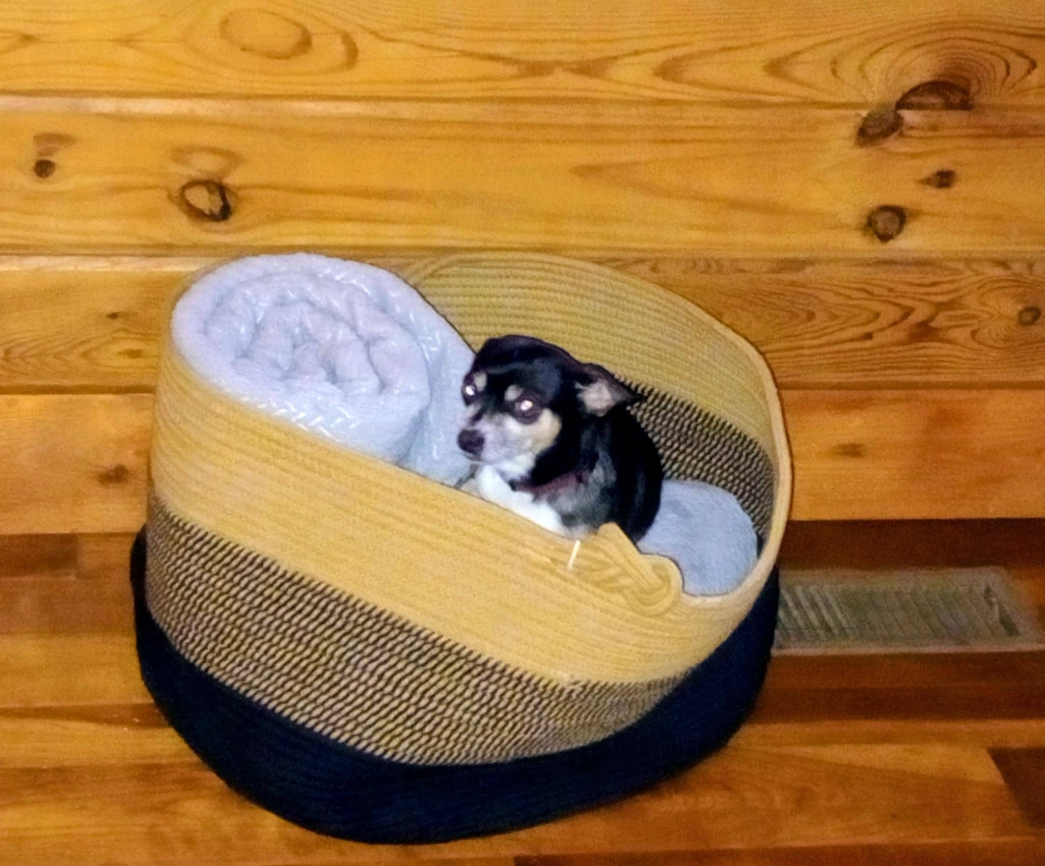 Our Iggy loved snuggling in when the fire was going 