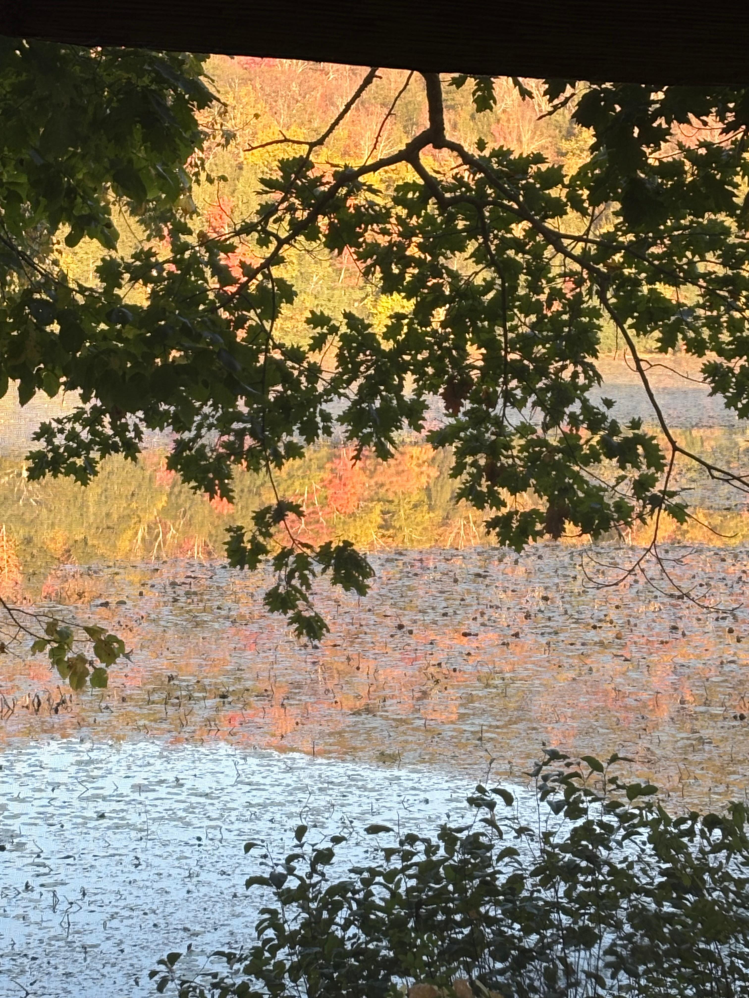 Morning picture of the lake.