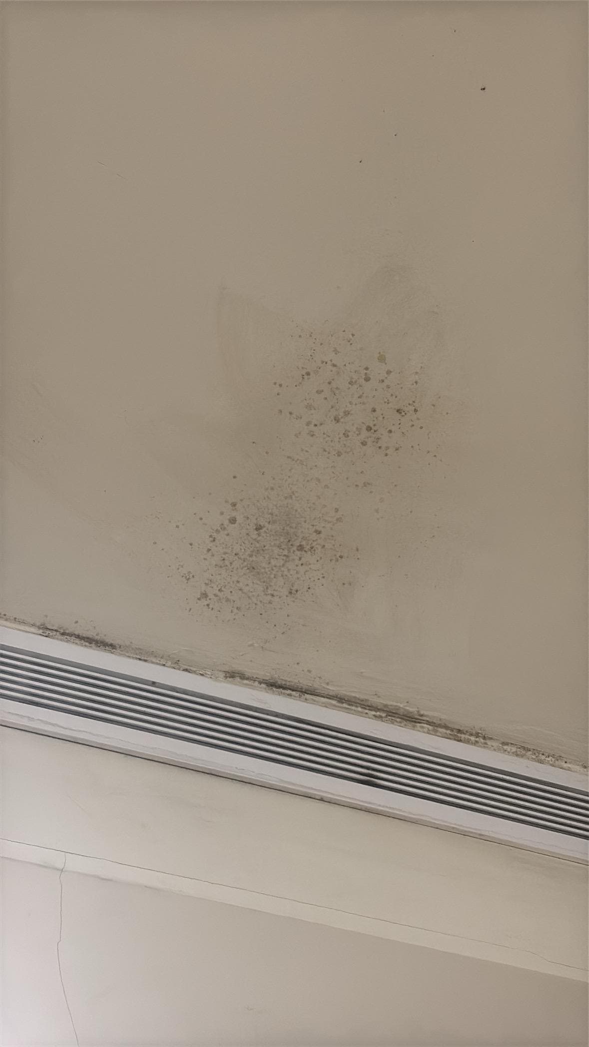 Mould on ceiling beside the ventilation
