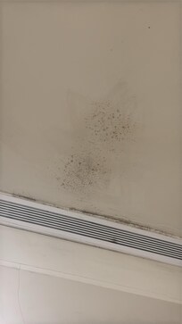 Mould on ceiling beside the ventilation
