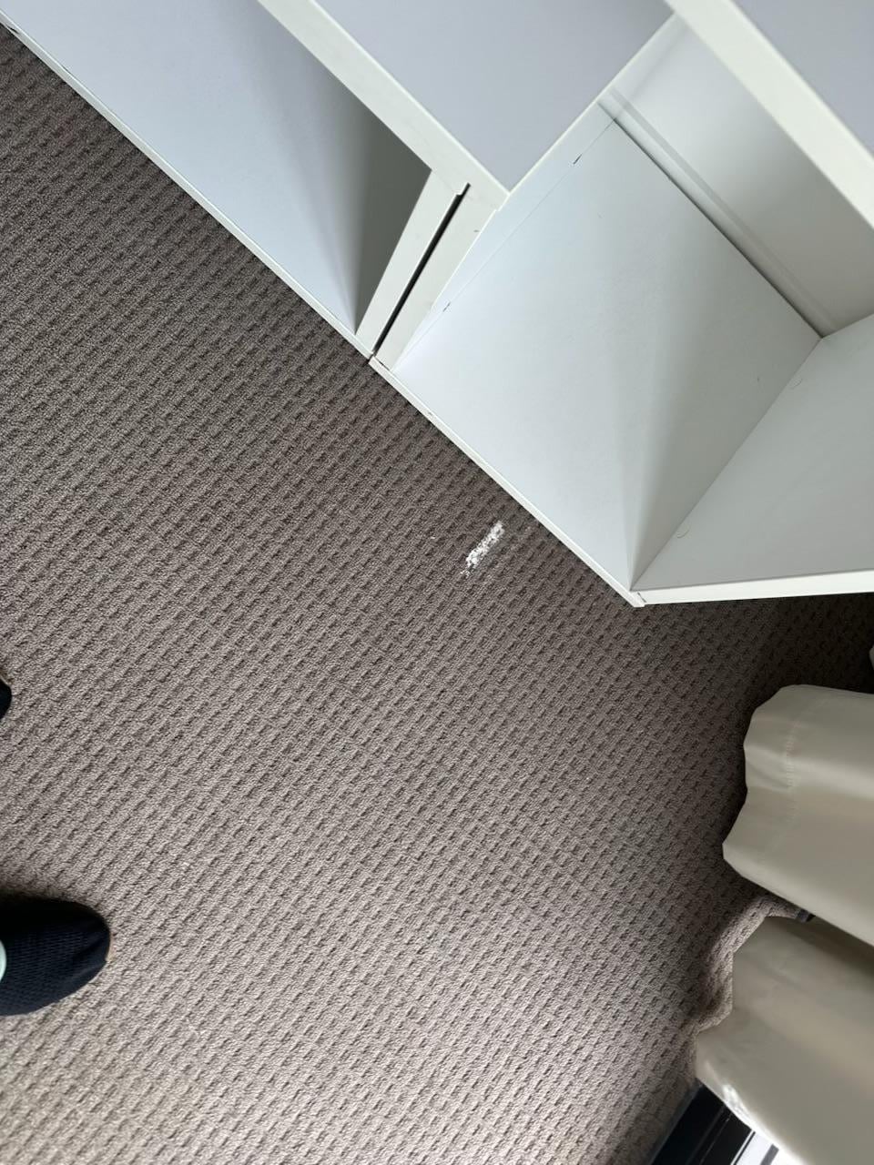 Carpet has paint all over it
