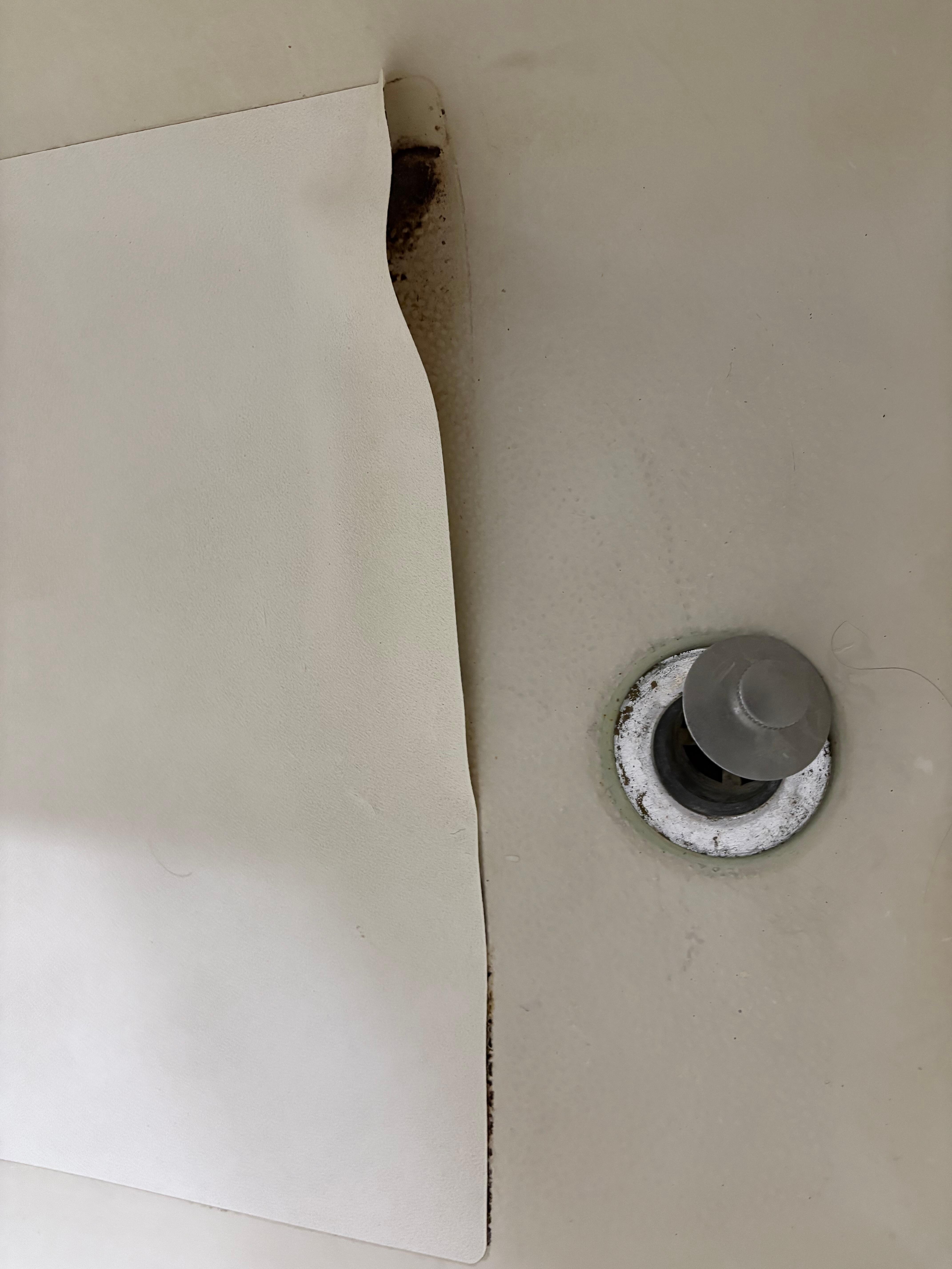 Bath mat hiding a huge garden of mold. 