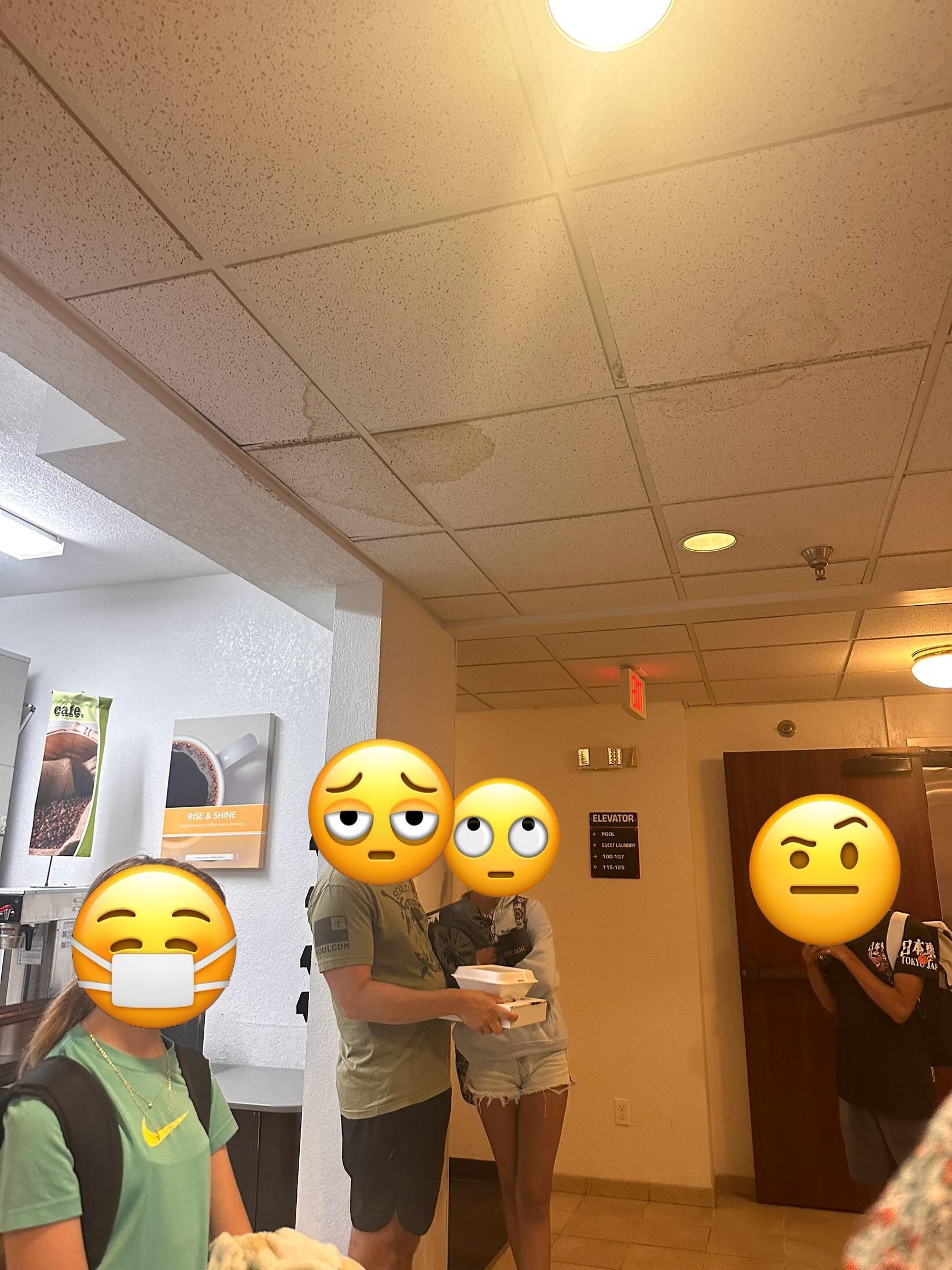 Black mold on the ceiling tile