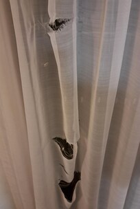 Die Gardine beschreibt dieses Zimmer ganz gut