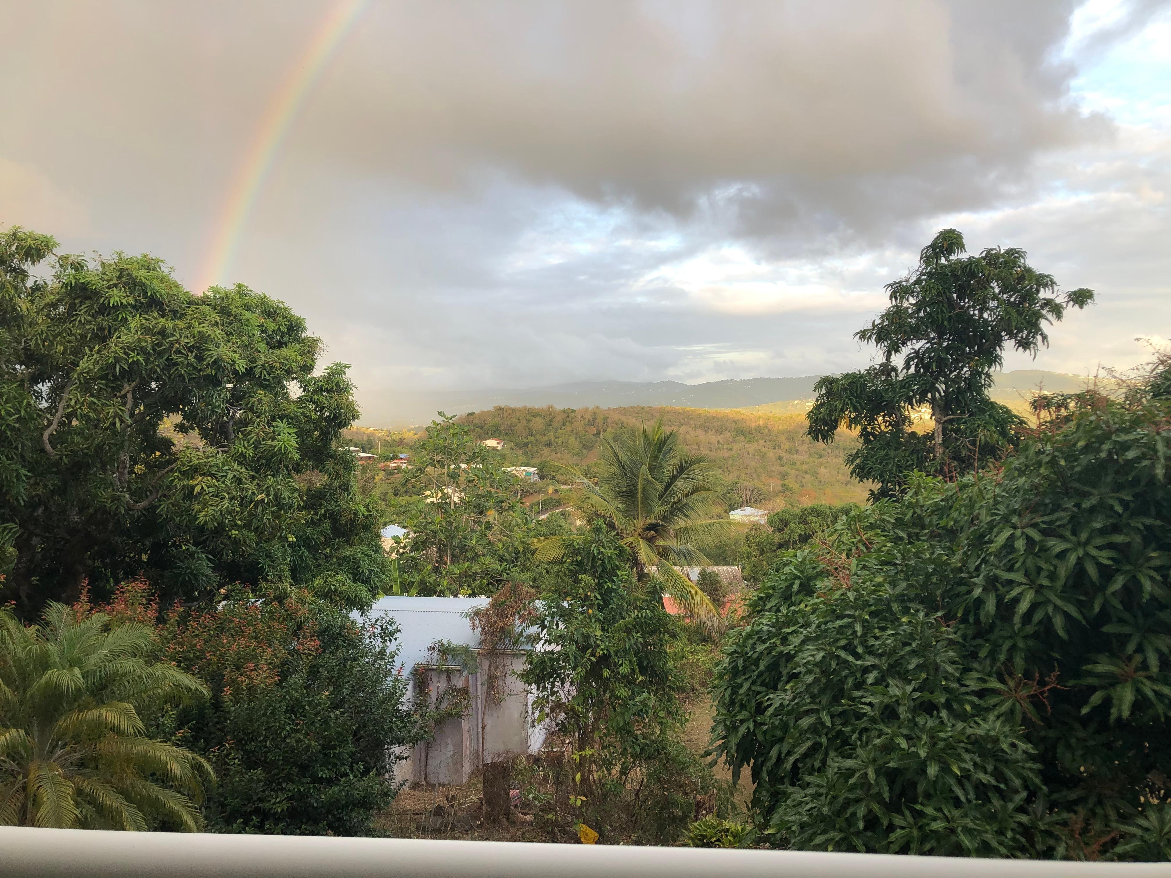 Vue sur la nature de la petite terrasse