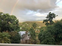 Vue sur la nature de la petite terrasse