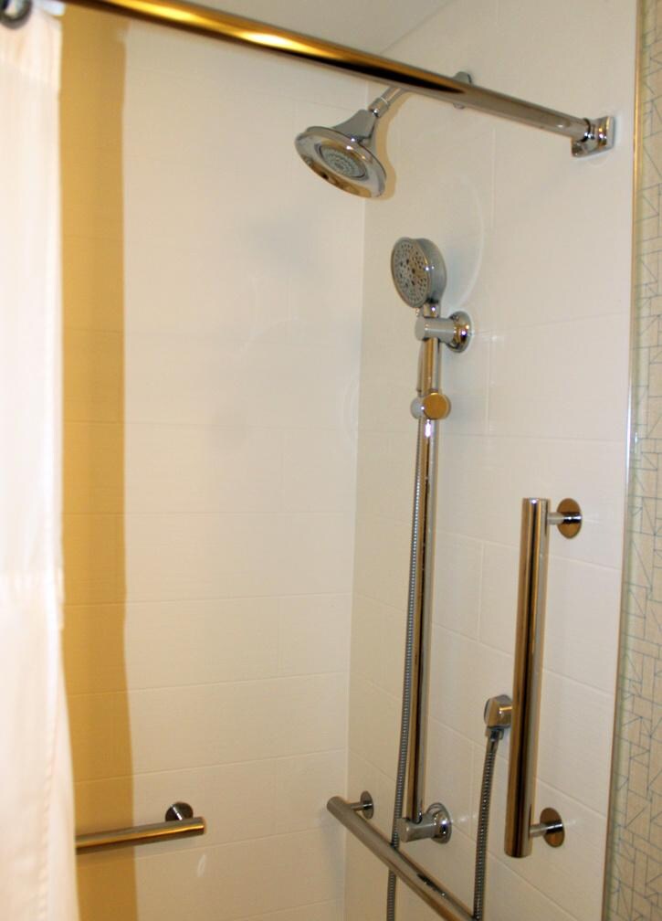 shower in accessible room 