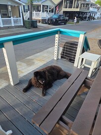 Lounging on the porch