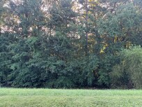 View from patio. We enjoyed the chairs provided.