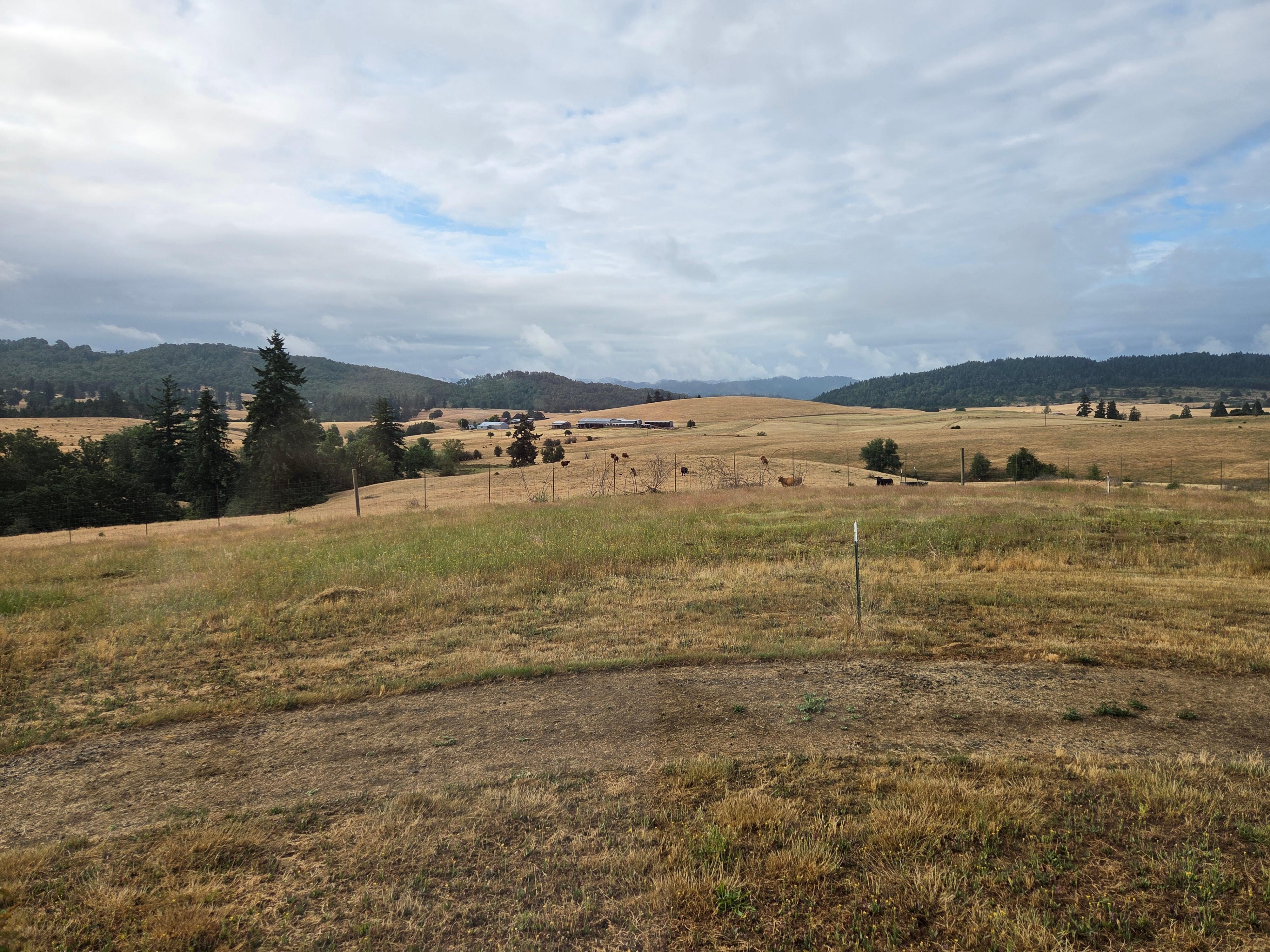 View to the south.