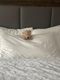 Kiddos loved when housekeeping would come and arrange their teddy bear.